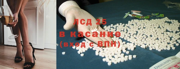 ECSTASY Алзамай