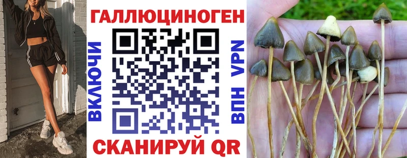 Псилоцибиновые грибы GOLDEN TEACHER Киреевск